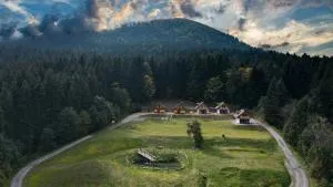 Domki w Kasinie - Węglówka