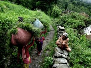 Pahaadi House Homestay