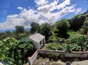 Pahaadi House Homestay