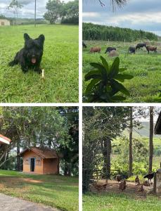 SÍTIO BOA VISTA SJC - Estadias e Eventos