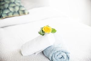 Appartements COSYFAMILY 1er etage Piscine -WIFI- NEUF-FAMILLE -15MIN PLAGE - TOP PROS SERVICESConciergerie : photos des chambres