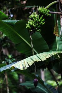 Charmoso studio em Tiradentes