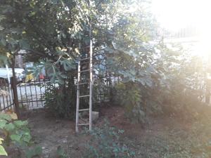 Tobyta nu primesc santieristi si petrecareti