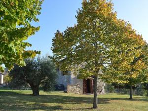 Apartment in Tuscany with Pool and Garden
