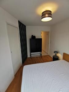 Appartements COTE GARE - Gare - Centre-ville - Parking - Netflix - Wifi - Disney+ - Terrasse : photos des chambres