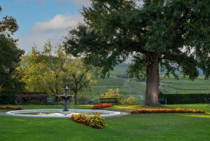 Hotels Chateau d'Isenbourg & SPA : photos des chambres