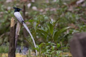 Mistletoe House by VEO - Part of StayVista