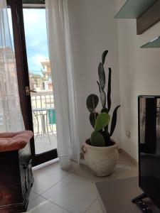 Serena GuestHouse