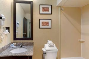 Standard Double Room with Two Double Beds - Non-Smoking room in Comfort Inn Bluefield