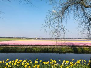 Hotel Lowietje Lisse - Keukenhof
