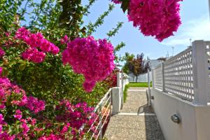 Oliv Apartments Rethymno Greece