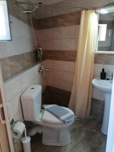 Rodomelo Cute Studio 2