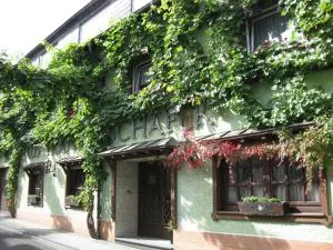 弗朗茨舍费尔酒庄旅馆 - 巴特布雷希格