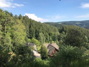 Gibbesbachhof Black Forest Apartments