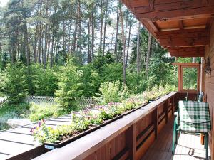 Ferienwohnung Frauenhoffer