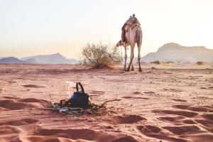 Abdullah desert trips