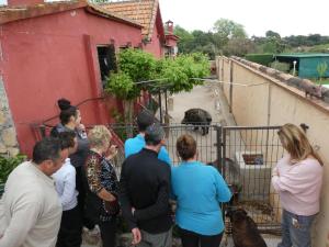 El Rincón de los Patos 1