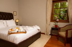 Suite room in Rinoterra Minho