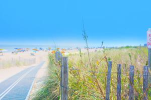 The Canal -- 337 Sandpiper