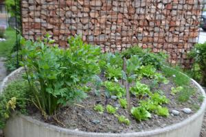 Gästehaus Reichholf