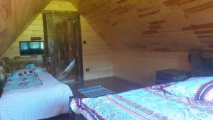 Маєток горгани