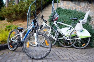 LVM tūrisma un atpūtas centrs "Spāre"