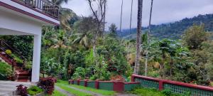 Linn View Home Stay Munnar
