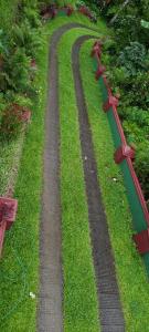 Linn View Home Stay Munnar