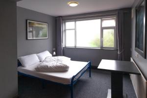 Large Family Room room in The Burren Hostel - Sleepzone