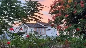 有貓匿鄉村咖啡館民宿 - P'o-pu-niao