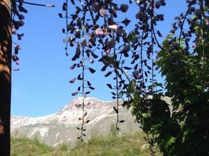 La Cittadella Dei Monti Sibillini