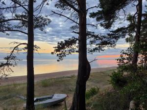 Atpūta namiņā pie jūras Skujiņas