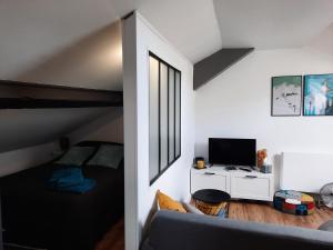 Appartements Superbe appartement pour 2, au coeur de l'Ariege! : photos des chambres