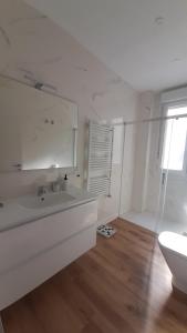 Guggenheim Bilbao Center