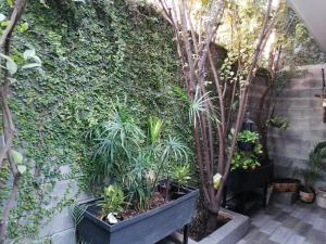 Black & White casa privada con alberca