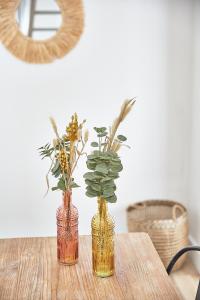 B&B / Chambres d'hotes Demeure de Manneville - SPA - 1Km des plages de Cabourg : photos des chambres