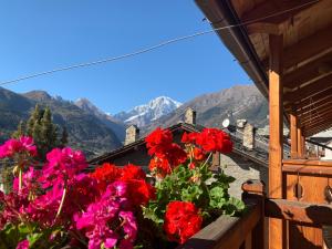 TROIS COURONNES Appartamenti di Charme ad uso turistico breve e stagionale