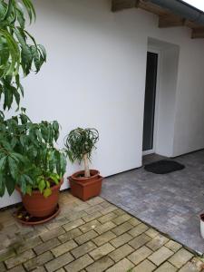 Apartman Starý Liskovec