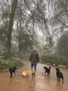 Yellowwoods Farm - THE GOAT HOUSE