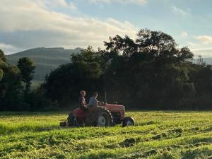 Yellowwoods Farm - THE GOAT HOUSE