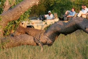 Orpen Road, Manyeleti Private Game Reserve, Hoedspruit, Greater Kruger Park, South Africa.