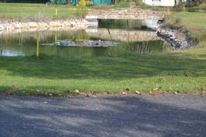 Adela´s Czech Village House