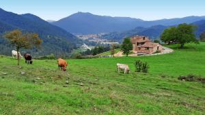 El Guitart - Turisme Rural