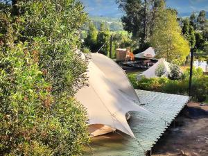 Glampwild Zaquencipa