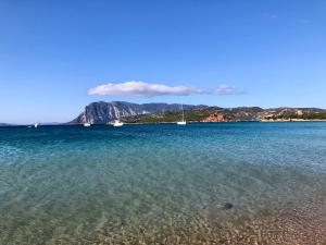 Marina Butterfly img37