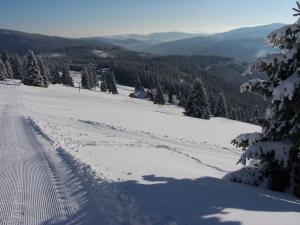 Berghof - horská chata