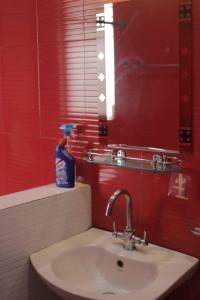 Monkey Bunky-3Monkeys Backpackers Hostel