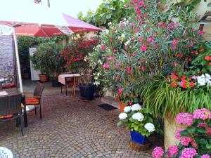 Ferienwohnung Häckerstubn Zang