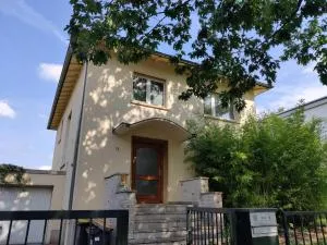 Schaefer Apartments - Villa Bischof - 埃施伯恩