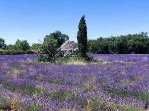 Maisons de vacances La Pommerie en Luberon : photos des chambres